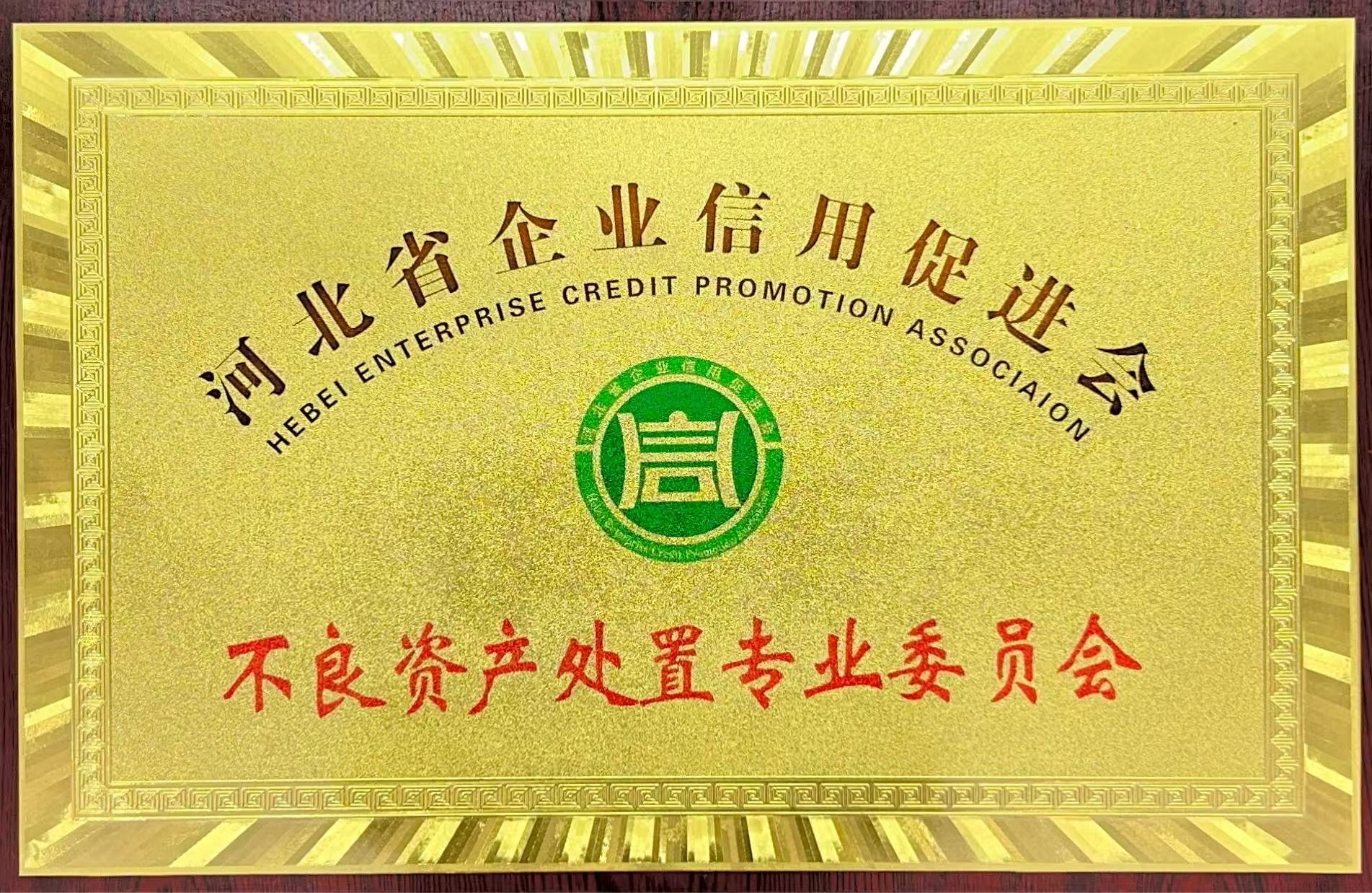 不良资产处置专业委员会